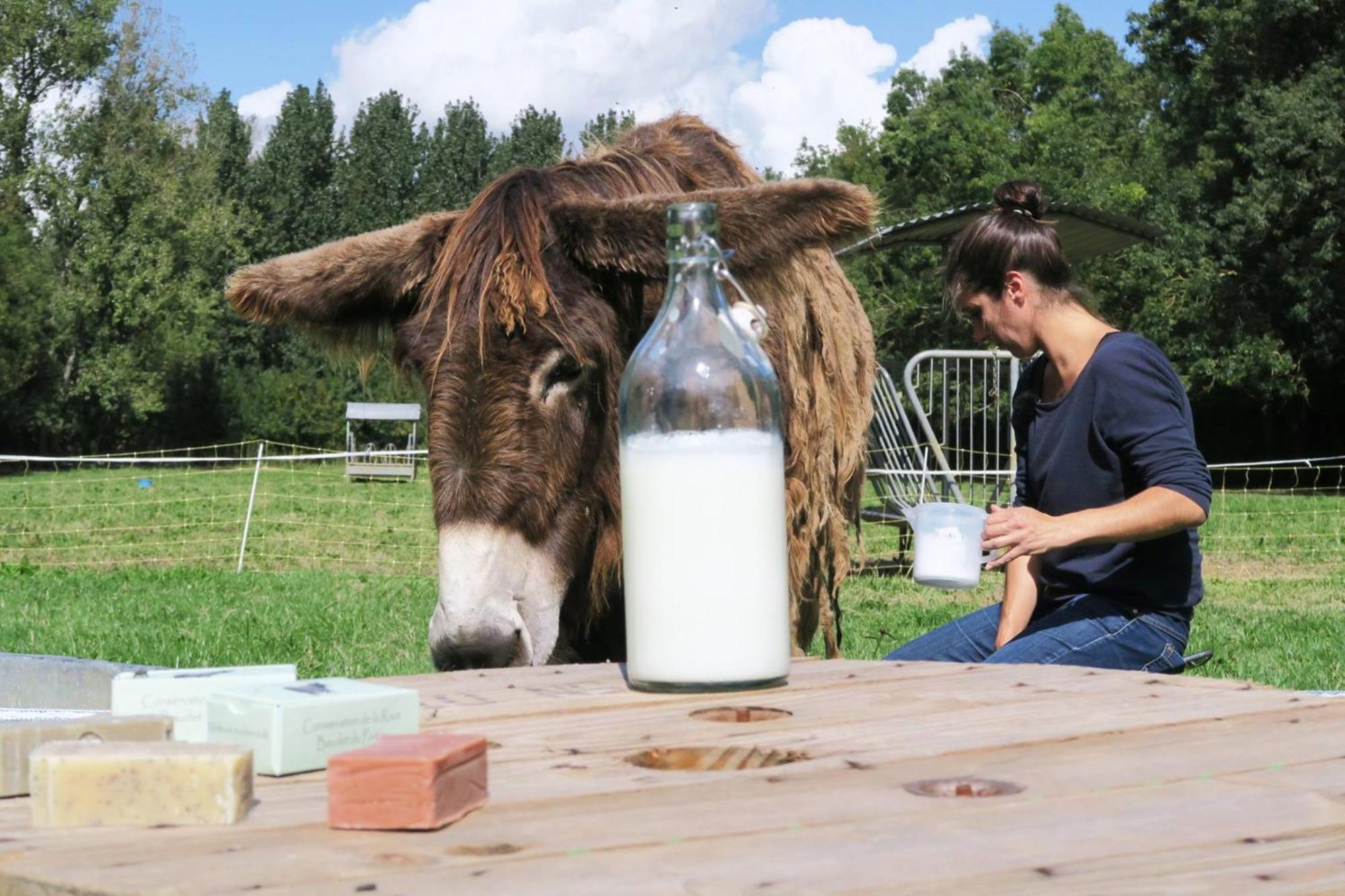 La Ferme Du Marais Poitevin - Roulotte Hotell Benet Exteriör bild